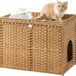 Cat Litter Box