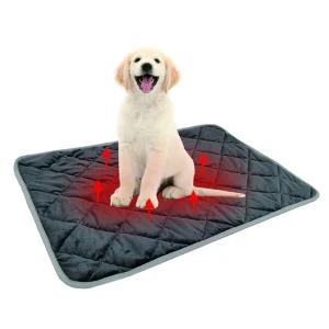 Washable Pet Mat